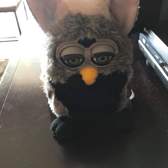 koala furby